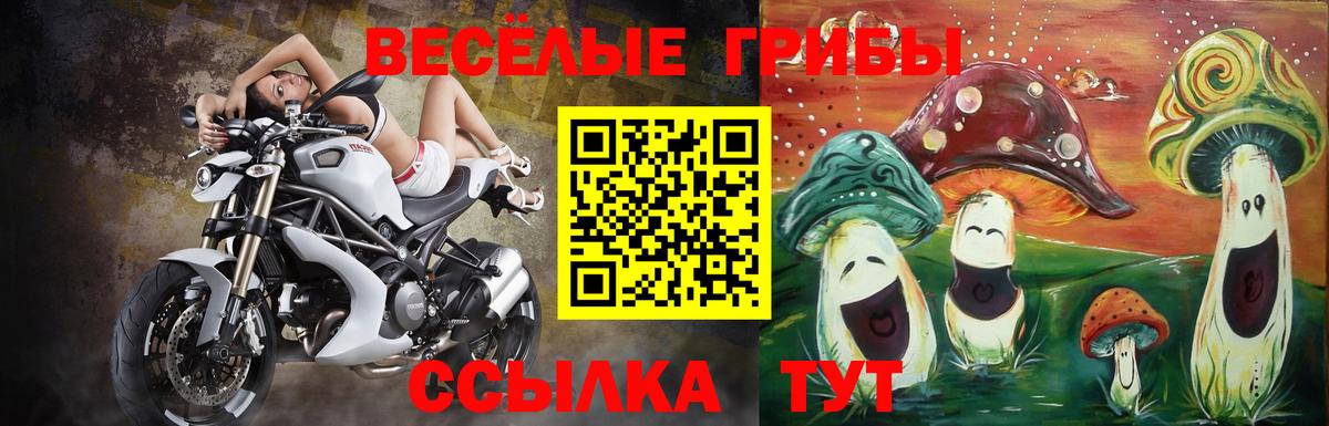 Псилоцибиновые грибы мицелий  Вход с VPN  Чистополь  Псилоцибиновые грибы мухоморы 